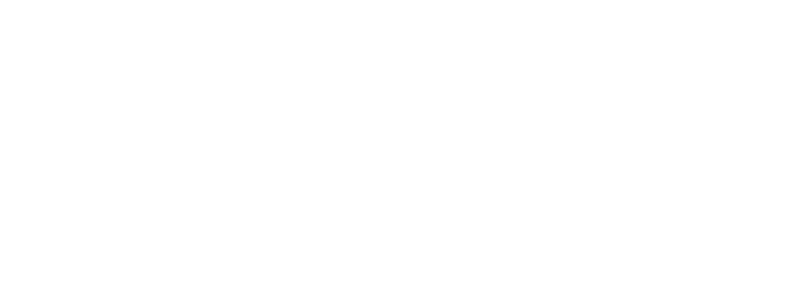 โลโก้ค่ายเกม Evolution